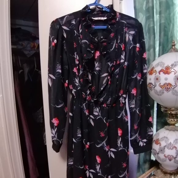 Vintage 1970s sheer dress - Picture 1 of 4